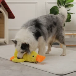 HOOPET-Dog-Sleeping-Toy-Duck-Chew-Sounding-Toy-for-Small-Medium-Large-Dogs-Outdoor-Interactive-Pet-2.webp