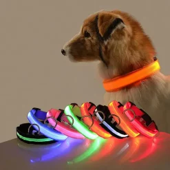 Nighttime Safety Dog Collar - Adjustable, Glow-in-the-Dark, Durable Nylon, Battery-Powered with Striped Pattern